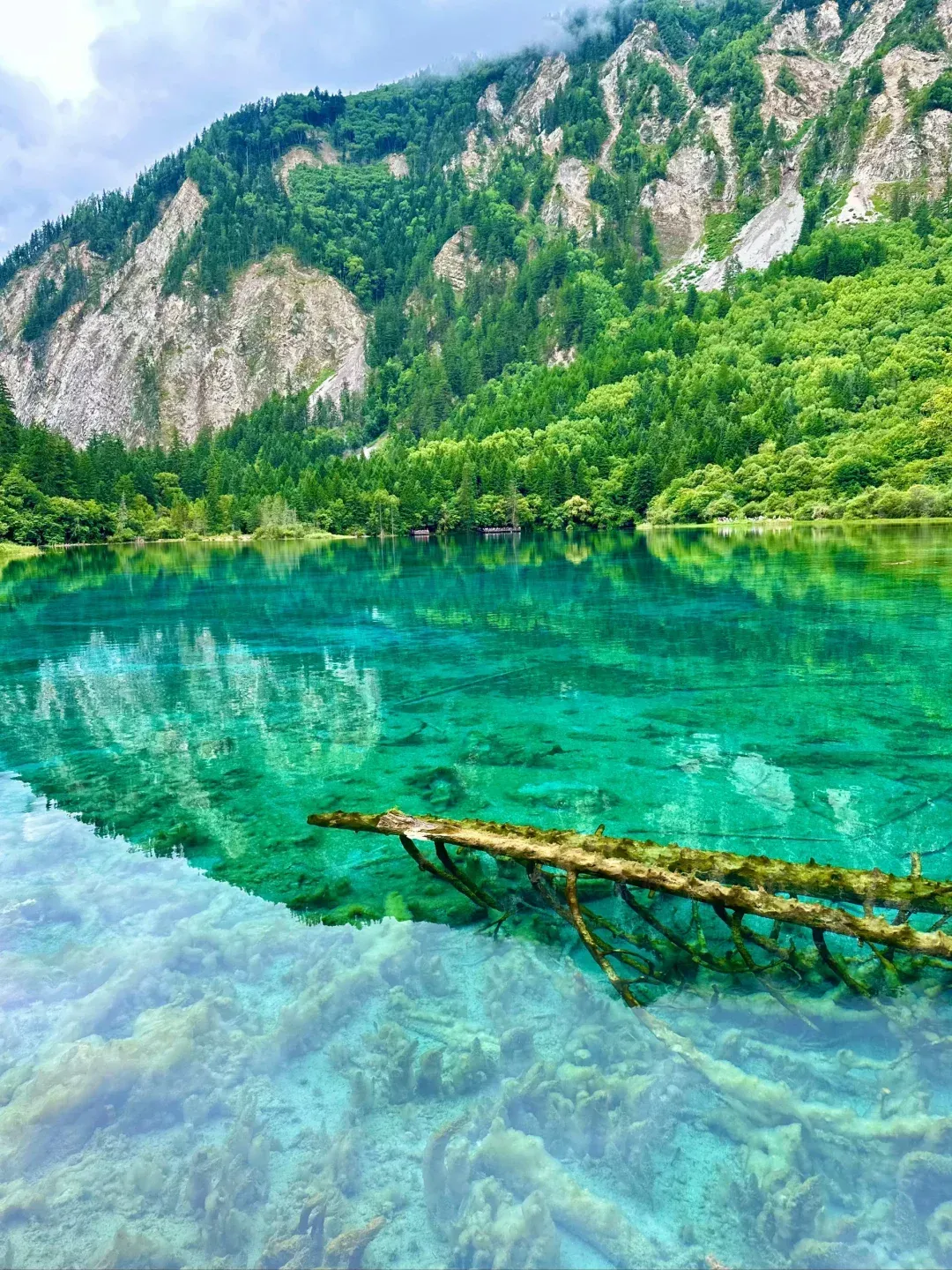 苹果7手机限量版苹果手机6和苹果手机7现在绝版了吗